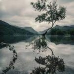 А-02-066-00-00-00 Распылитель IVECO, RENAULT 0433171366 RU DLLA144P510 АЗПИ/APCP